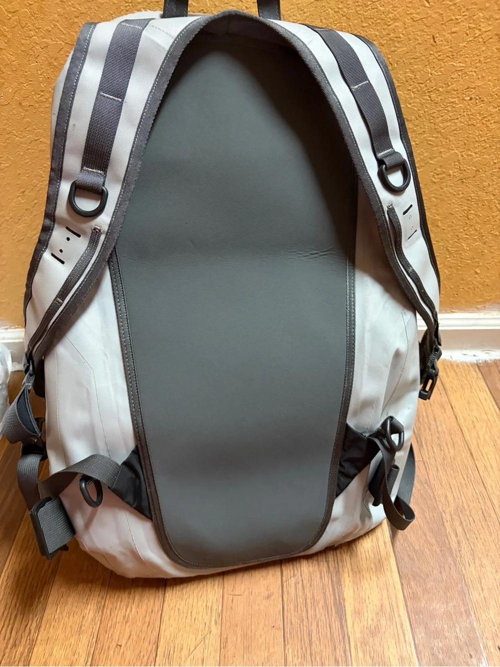 Patagonia sleek backpack